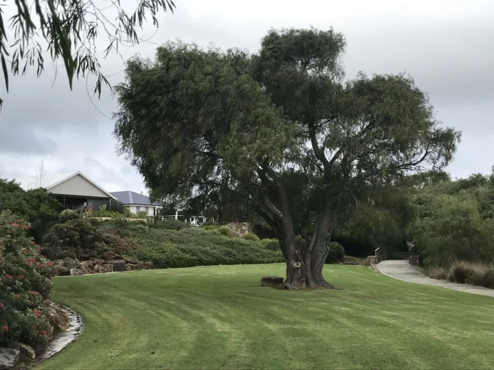 IMG_2038 Archival image from Rapids Landing – Margaret River No 2