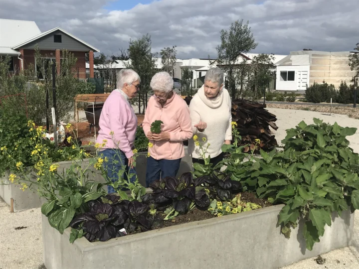 Edenlife – Australind No2