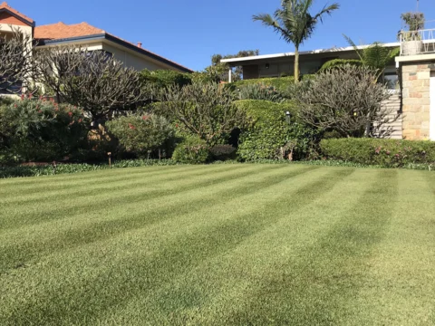 IMG_2632 Archival image from Seasol for Lawns