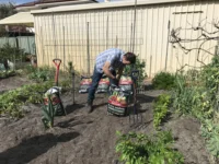 IMG_2689 Archival image from RICHGRO Potting Mix
