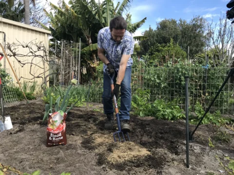 IMG_2705 Archival image from RICHGRO Potting Mix