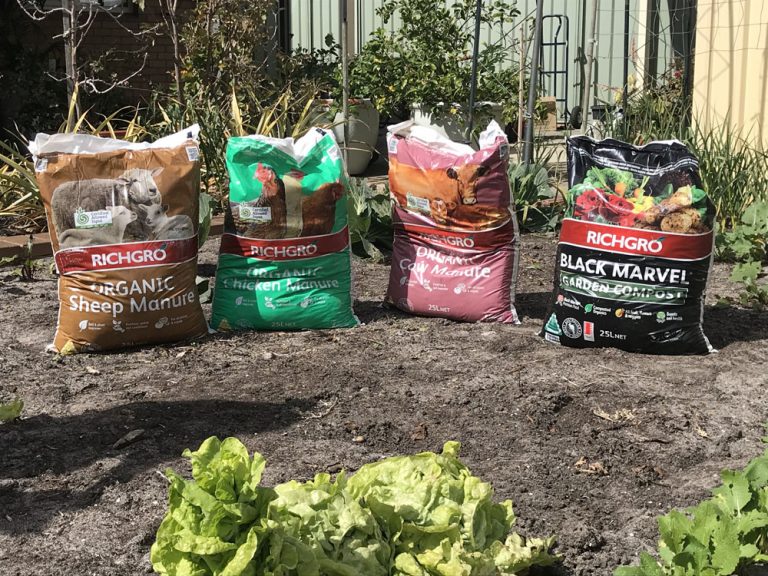 RICHGRO Potting Mix