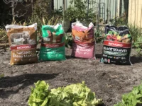 RICHGRO Potting Mix