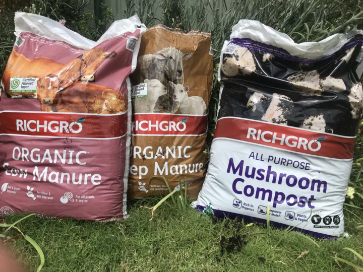 IMG_2971 Archival image from RICHGRO – Black Marvel Compost, Blood and Bone Based Fertilizer and Manures