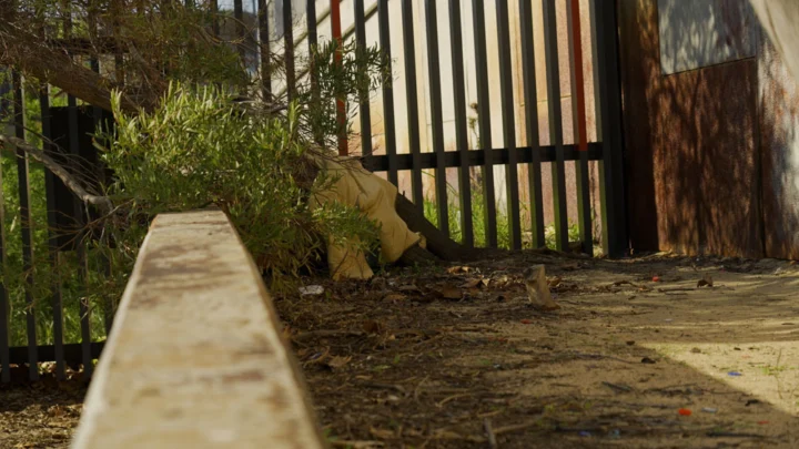 Sequence 01.00_01_35_09.Still010 Archival image from The Agency No16 – Homelessness