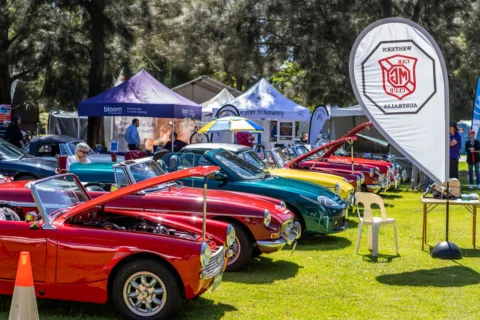 srcwa_hagd_20211110_018_51679309855_o Archival image from 2022 Have A Go Day – 11th November – Burswood Park – It is FREE!