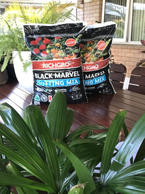 IMG_2697 Archival image from RICHGRO – Black Marvel Compost, Blood and Bone Based Fertilizer and Manures