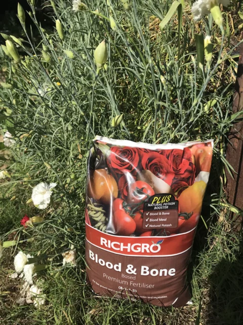 IMG_3031 Archival image from RICHGRO – Black Marvel Compost, Blood and Bone Based Fertilizer and Manures