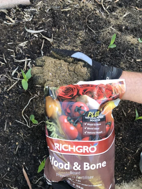 IMG_3052 Archival image from RICHGRO – Black Marvel Compost, Blood and Bone Based Fertilizer and Manures