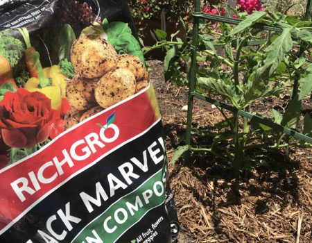 RICHGRO – Black Marvel Compost, Blood and Bone Based Fertilizer and Manures
