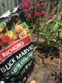 RICHGRO – Black Marvel Compost, Blood and Bone Based Fertilizer and Manures