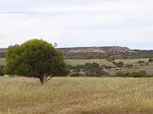 Ray White - Geraldton (Park Falls - Country Estate by the Sea) - archival photograph