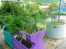 Backyard Aquaponics - archival photograph