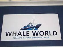Albany's Whale World - archival photograph