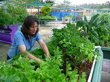 Backyard Aquaponics - archival photograph