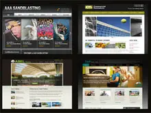 Microwebsites 'Websites from $695ex' - archival photograph