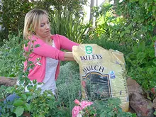 Baileys Fertiliser's - archival photograph