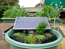 Backyard Aquaponics - archival photograph