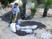 Bentonite - archival photograph