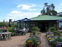 Melville Festival of Roses 'Melville Nursery November 14th & 15th' - archival photograph