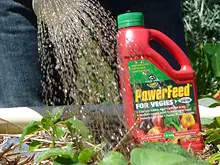 Seasol 'Powerfeed for Vegies' - archival photograph
