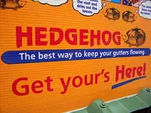 Hedgehog Gutter Protection System - archival photograph