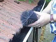 The Hedgehog People - Gutter Protection - archival photograph