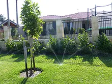 Total Eden - archival photograph