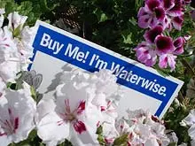 Be Water Wise - archival photograph