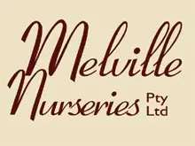 Melville Festival of Roses 'Melville Nursery November 14th & 15th' - archival photograph