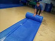 Elite Pool Covers - archival photograph