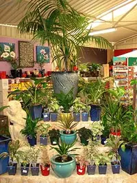 McBride's Nursery - archival photograph