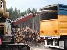 Timber 2020 - archival photograph