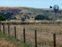 Dolby Creek Freedom Estate - archival photograph