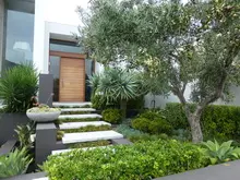 Tim Davies Landscaping Part 1 - archival photograph