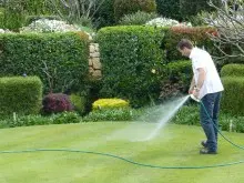 Seasol For Lush Green Lawns - archival photograph