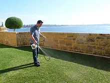 Seasol 'For Lush Green Lawns' - archival photograph