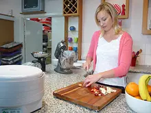 Kitchen Witch 'Ezi-Dry Food Dryer' - archival photograph