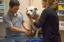 Hanly Veterinary Clinic & Hospital - archival photograph