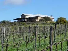 Chapman Valley Wines 'Vineyard for Sale' - archival photograph