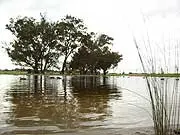 Landcorp - Sustainable Living - archival photograph