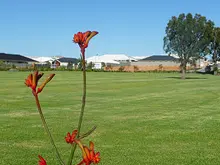 Honeywood Estate - Wandi - archival photograph