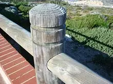 PERMApole - archival photograph