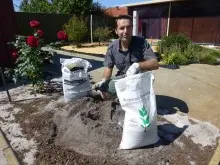 BENTONITE CLAY - archival photograph