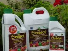 Seasol Powerfeed for Flowers & Fruit - archival photograph