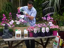 Seasol 'Re-potting tips with Seasol and Powerfeed' - archival photograph