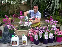 Seasol 'Re-potting tips with Seasol and Powerfeed' - archival photograph