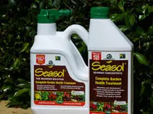 Seasol - archival photograph