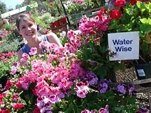Be Water Wise - archival photograph