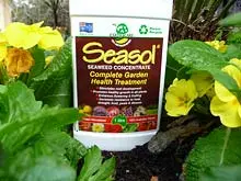 Seasol - archival photograph
